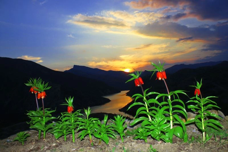 Cezası el yakıyor, görüntüsü kartpostalı andırıyor
