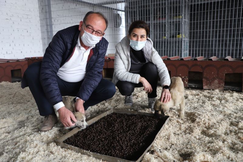 Başkan Akın’dan ‘Satın almayın, sahiplenin’ çağrısı
