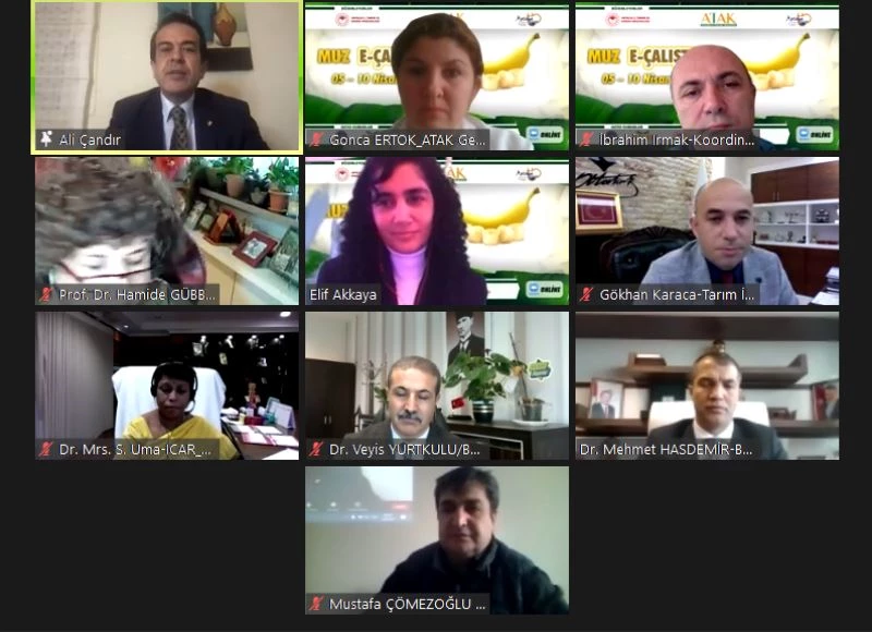 Antalya toplam muz üretiminin yüzde 41’ini karşılıyor
