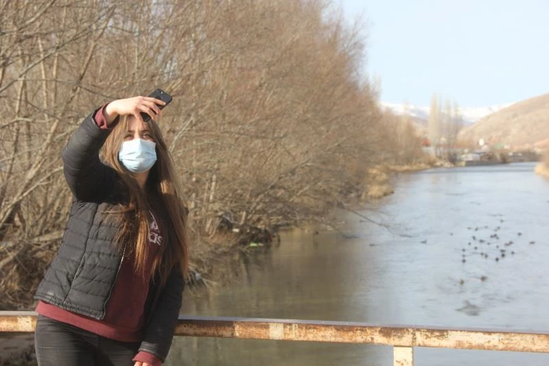 Yeşilbaşlı gövel ördekler Çoruh Nehrini renklendiriyor
