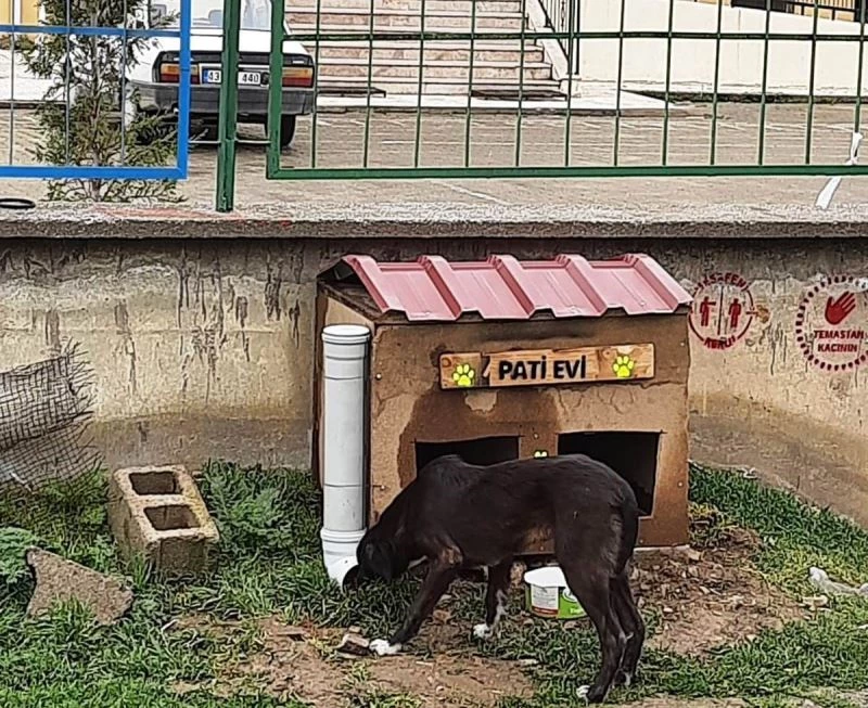 Hisarcık Şehitler Ortaokulu’nda “Pati Evi” projesi
