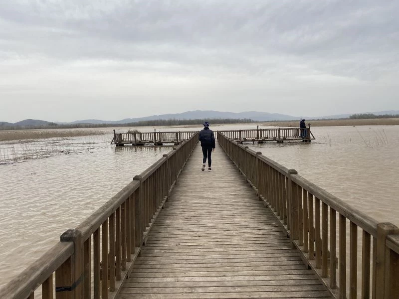 Efteni Gölü’nün su seviyesi iskeleye kadar yükseldi
