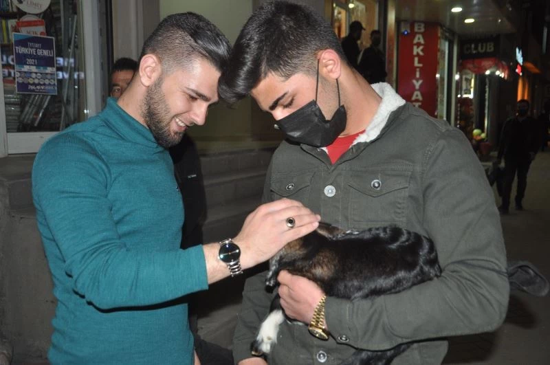 Yeni doğan oğlağa şefkat eli
