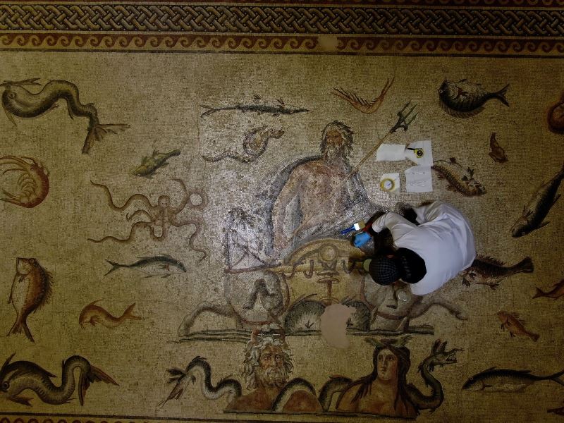 Dünyaca ünlü mozaikler hassas korumayla gelecek nesillere aktarılıyor
