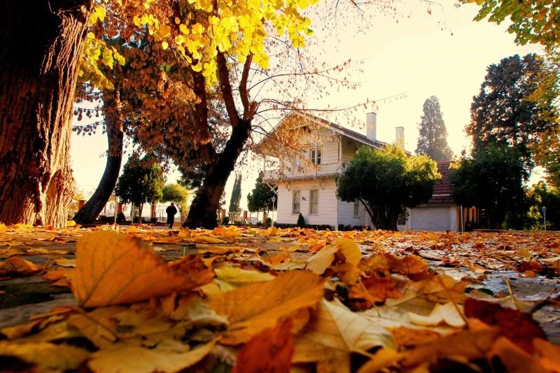 Osman Hamdi Bey Müzesi bakanlığın prestij müzesi olacak
