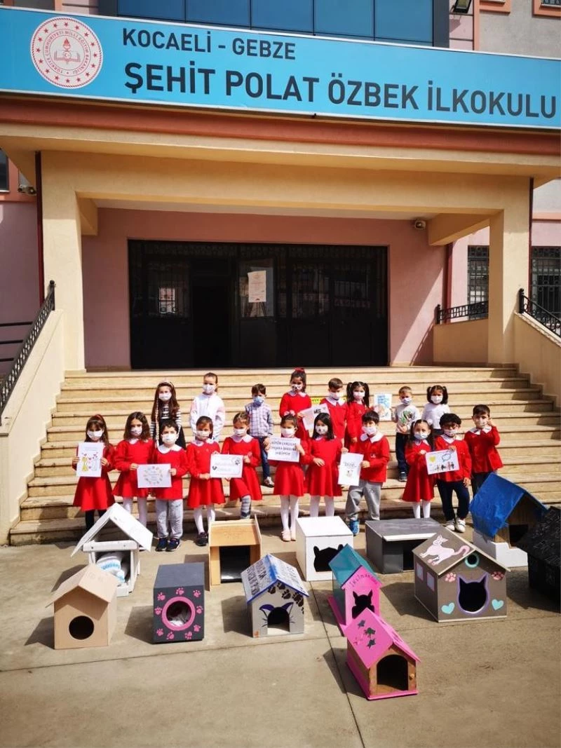 Minik kalpleriyle sokaktaki dostlarına yuva yaptılar
