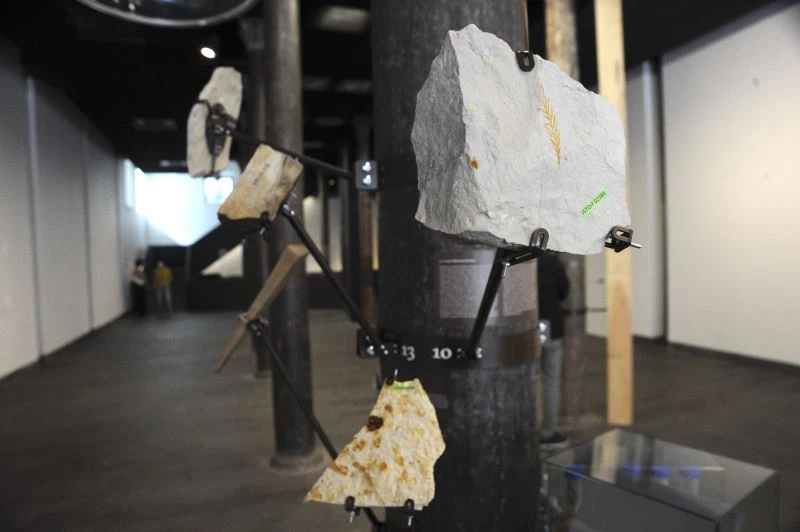 ‘İKLİMCİL: Mevsimler Sürüklenirken’ sergisi SALT Beyoğlu’nda kapılarını açtı
