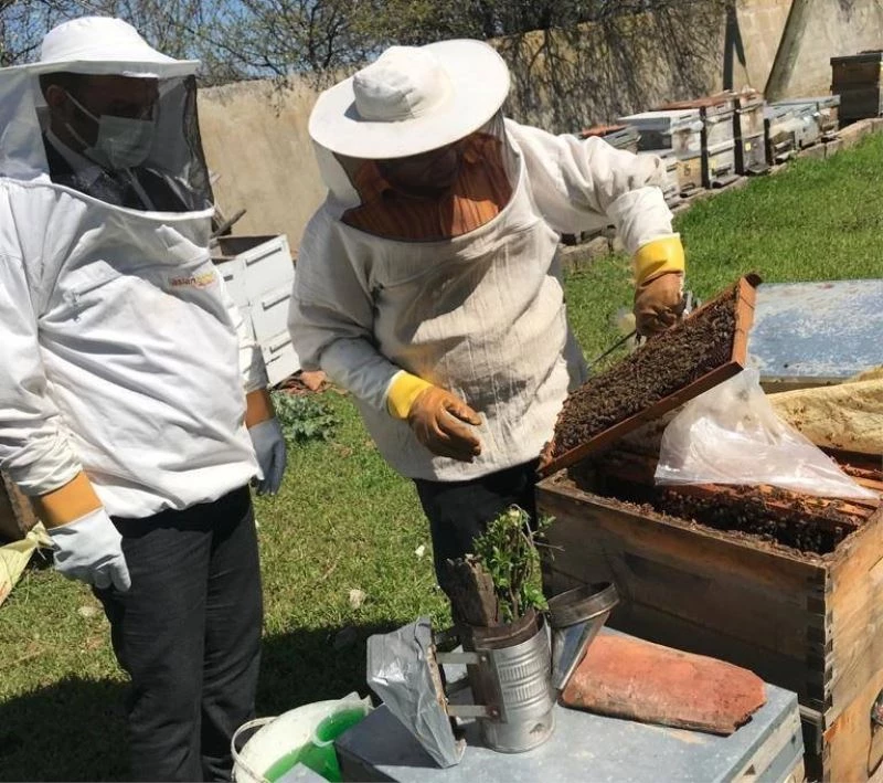 Tekirdağ’da arı kovanları bakımdan geçiyor
