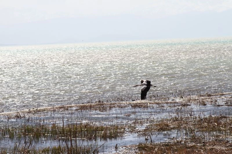 Beyşehir Gölü’nün yüzeyi çamur rengine dönüştü
