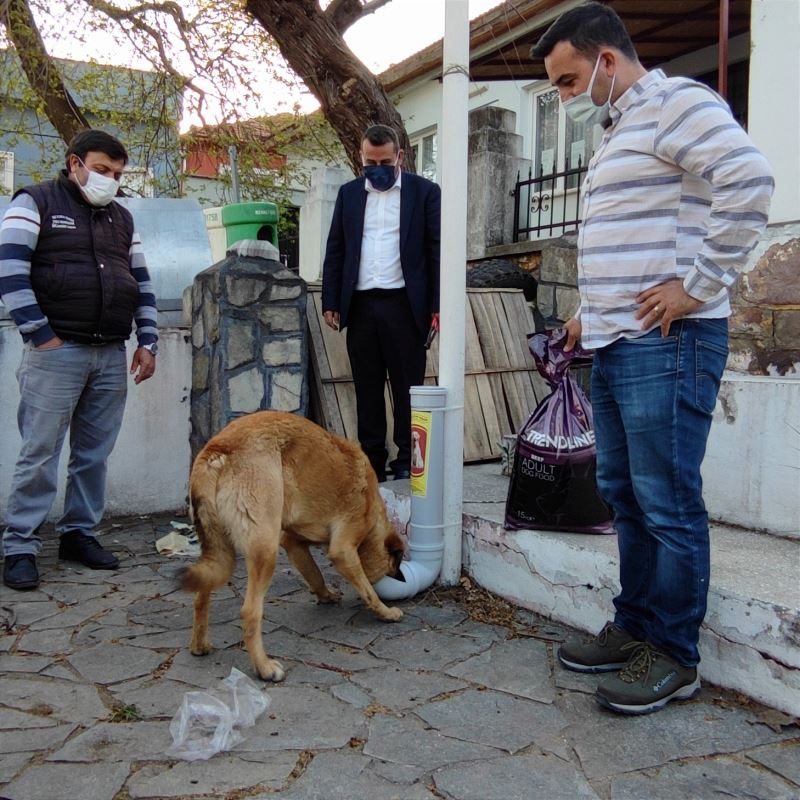 ’Can dostlar yaşasın’ projesi Altınoluk’ta
