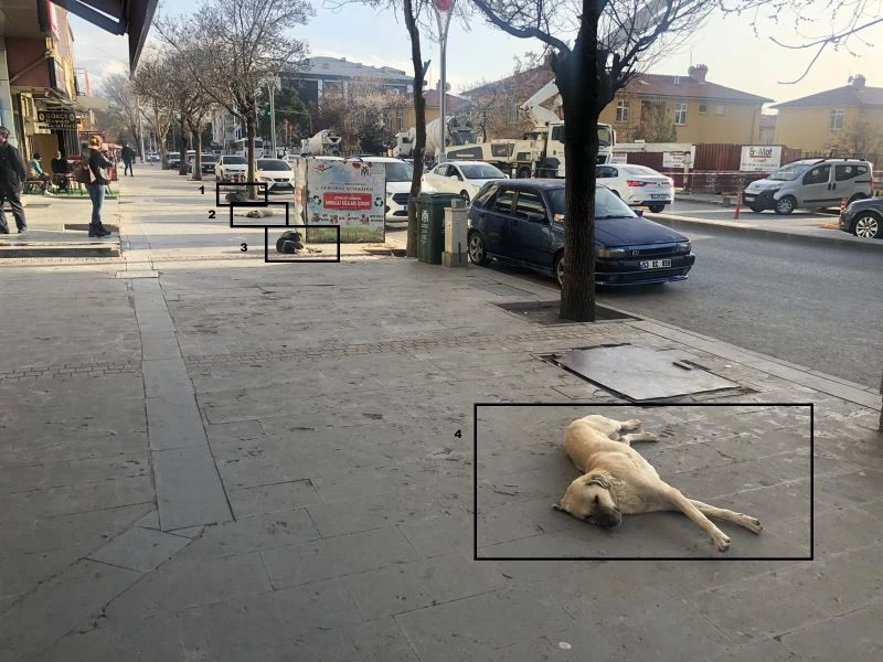 Sosyal mesafeli şekerleme
