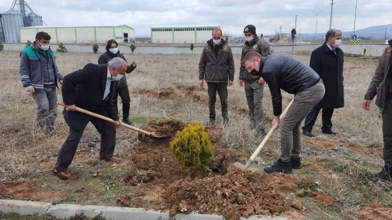 Okul bahçeleri dikilen fidanlarla güzelleşiyor

