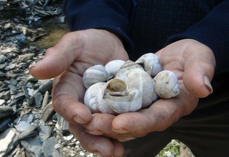 Köylüler derenin sırrını yıllardır çözemedi
