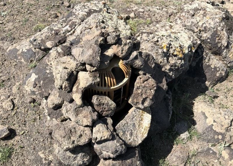 Iğdır’da Keklik avlayan 2 şahsa 11 bin 328 lira ceza kesildi
