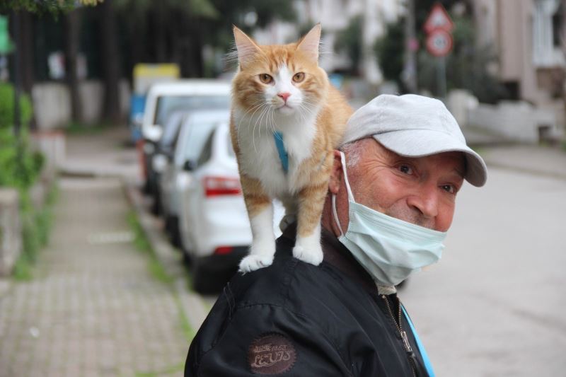 Şehir şehir, sokak sokak kedisini omuzunda gezdiriyor
