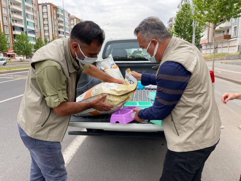 Diyarbakır’da tam kapanma döneminde sokak hayvanları unutulmadı
