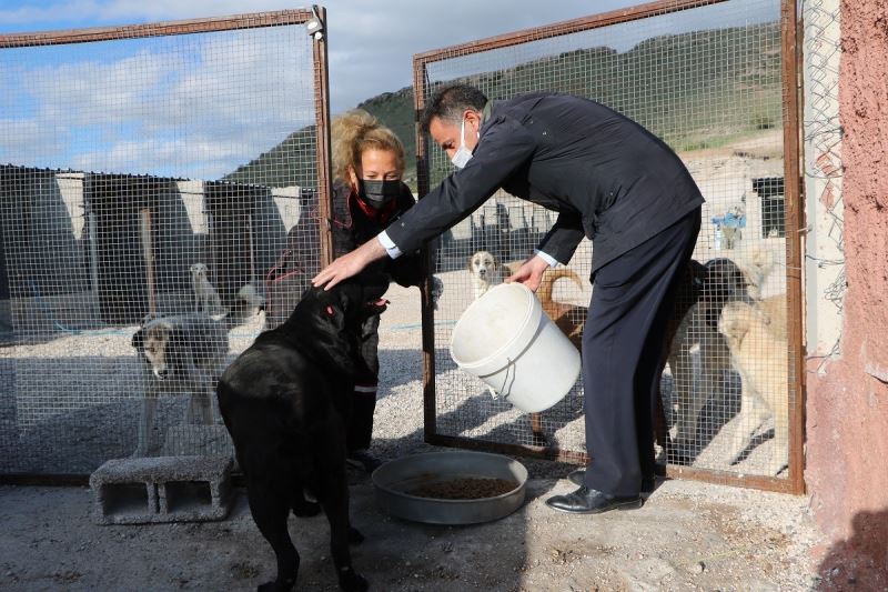 Uçhisar Belediye Başkanı Süslü, sokak hayvanlarını unutmadı
