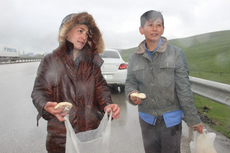 Otoyolda mantar satan çocukların yağmur altında ekmek parası mücadelesi
