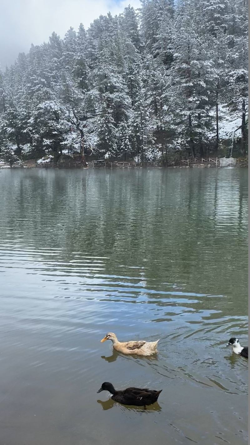 Limni Gölü Tabiat Parkı’ndan eşsiz görüntüler
