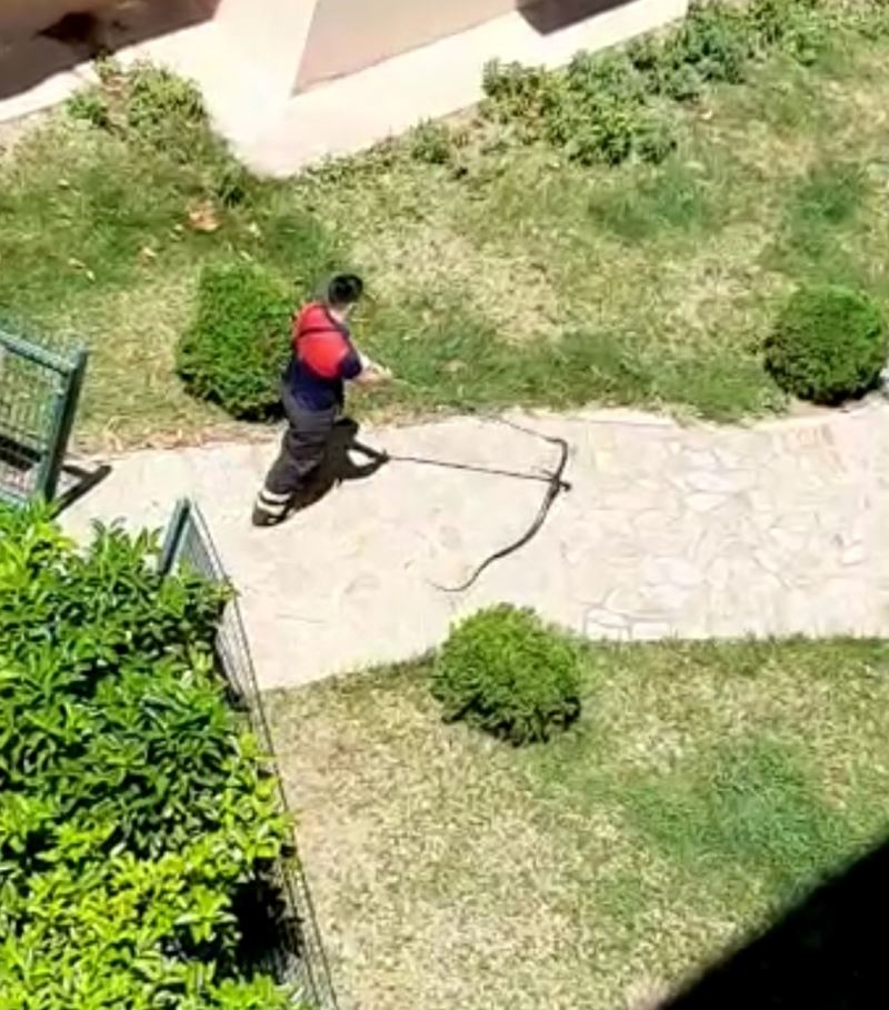 Osmaniye’de çocuk parkında yılan paniği