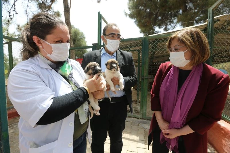 Şahin’den hayvan barınağına ziyaret
