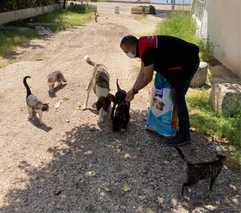 Erdek’te market, şarküteri, pastane ve fırınlar denetlendi
