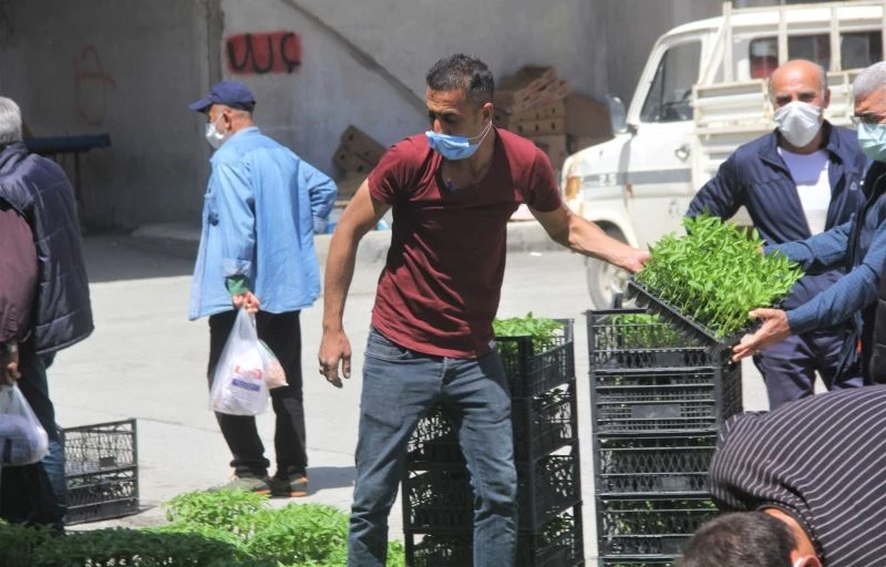 Tam kapanmada fide üreticileri iş başında
