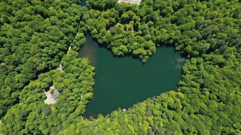 Yeşilin tüm tonlarını barındıran Yedigöller’de görsel şölen havadan görüntülendi
