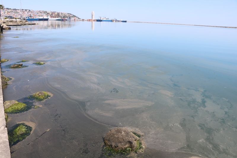 Samsun Limanı’ndaki kirlilik büyüyor
