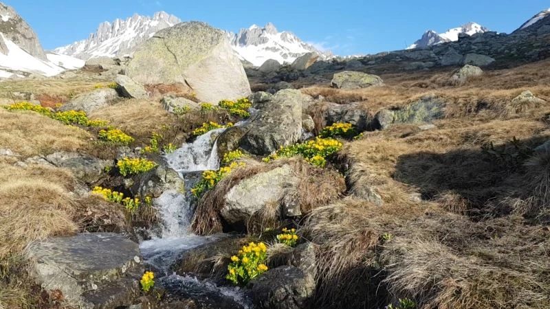 Macahel’de eriyen karlar kartpostallık görüntüler oluşturdu
