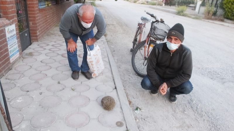 Burhaniye’de kirpiler sokaklara çıktı
