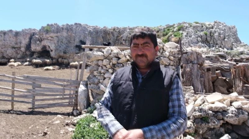 Mersin’de kurtların saldırısına uğrayan 70 küçükbaş hayvan telef oldu
