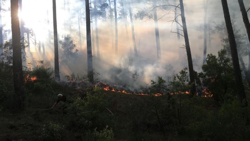 Burdur’da orman yangını vatandaşlar ve ekipler tarafından söndürüldü
