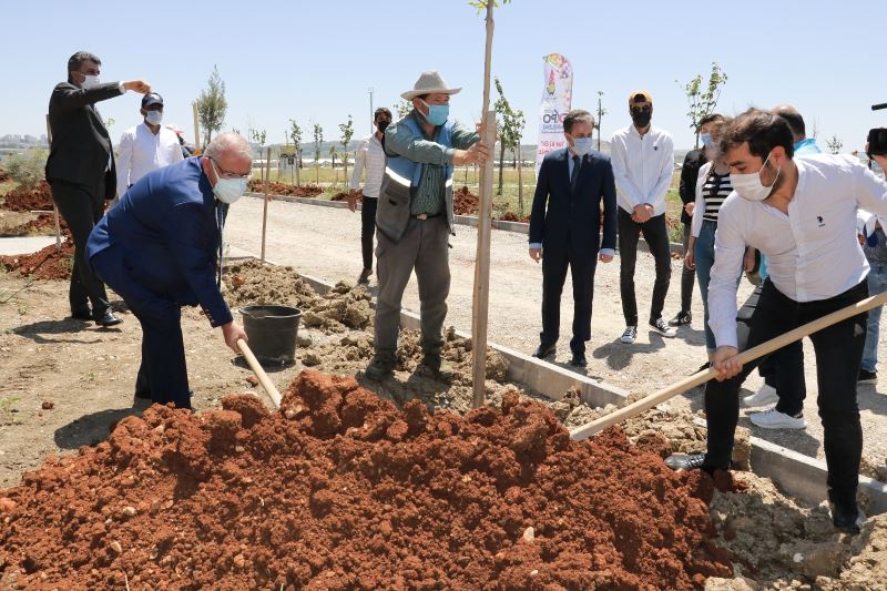 Başkan Mahçiçek: “Expo yenileme alanında herkesin bir dikili ağacı olacak”