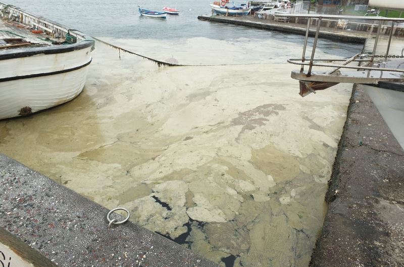 (Özel) Marmara Denizi salya kıskacında
