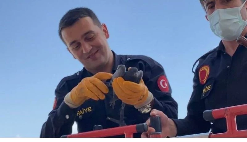 Tele takılan güvercini itfaiye ekipleri kurtardı
