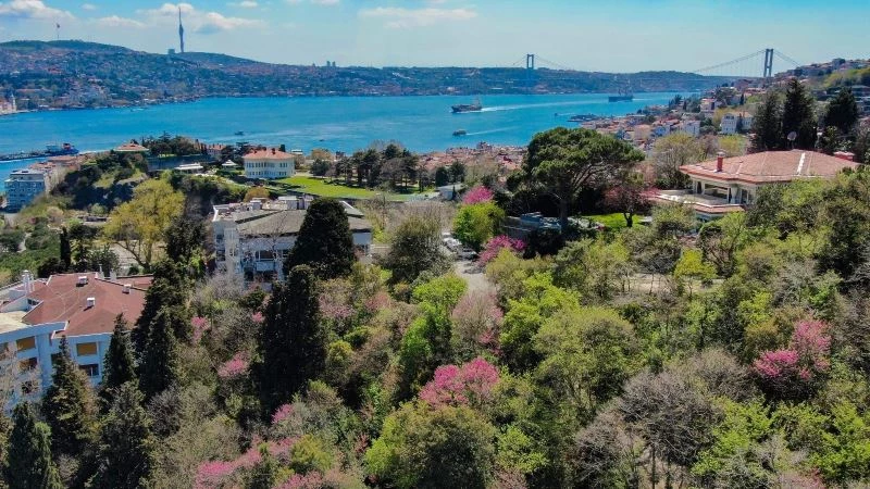 (Özel) İstanbul’da erguvan zamanı
