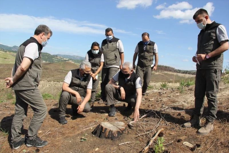 Orman Genel Müdürü Karacabey: 