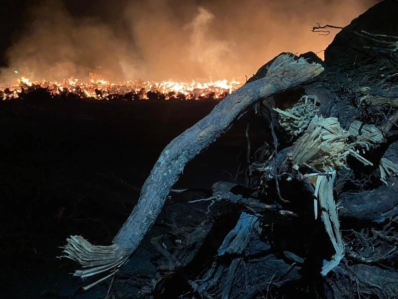 Biyokütle yakıtlı enerji santralindeki yangın 80 bin metrekarelik alanda sürüyor
