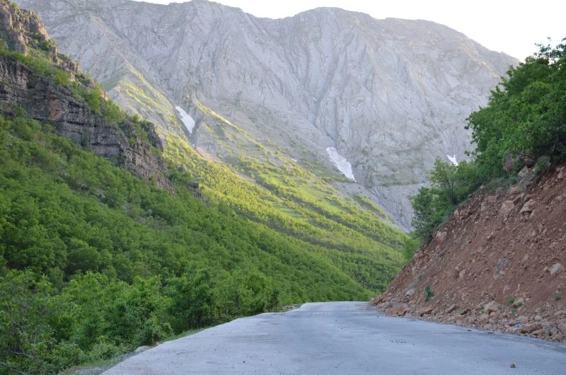 Şırnak’ta karlar eridi doğa yeşile büründü

