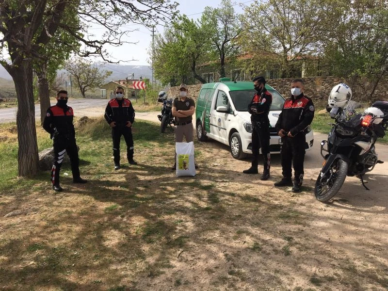 Polisler sokak kısıtlamasında hayvanları besledi
