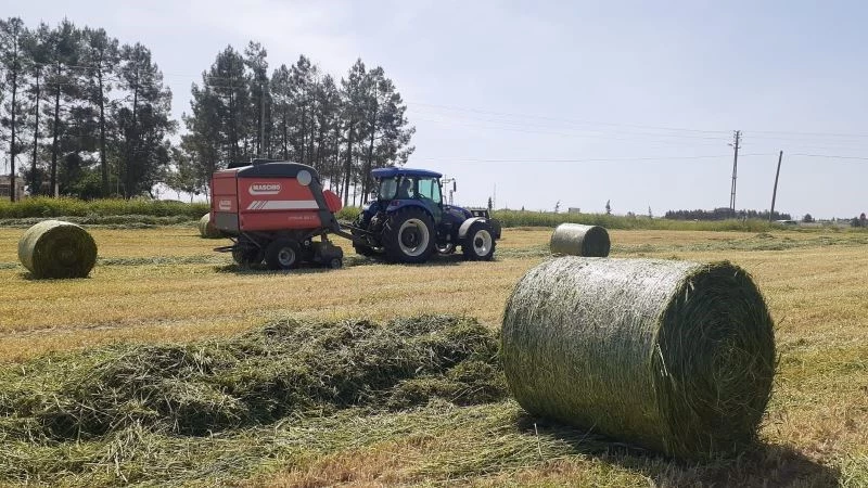 Samsat’ta modern tekniklerle yem bitkileri üretiliyor
