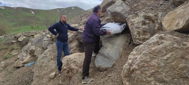 Hakkari’nin maskotu tilkiler için yiyecek bırakıldı
