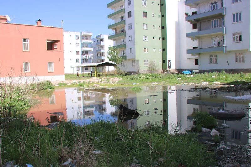 Kayyum atanan belediye ile ilçenin çehresi değişiyor
