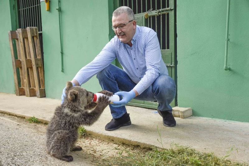 3 aylık yavru ayı Dolunay, Ovakorusu Ayı Barınağının ilgi odağı oldu
