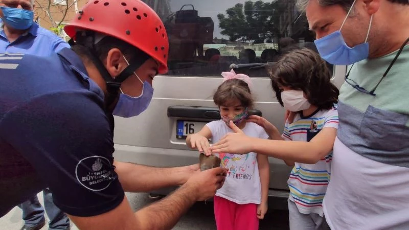 Mahsur kalan kuşun kurtarılmasına en çok onlar sevindi
