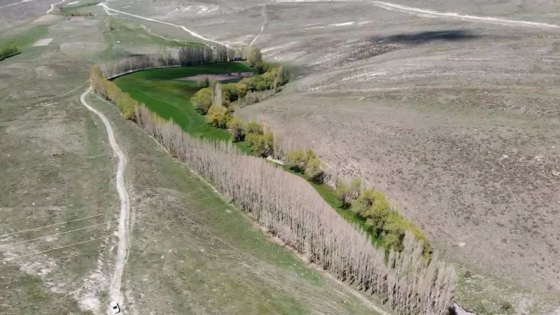 Bozkırın ortasında dededen toruna bırakılan en güzel miras
