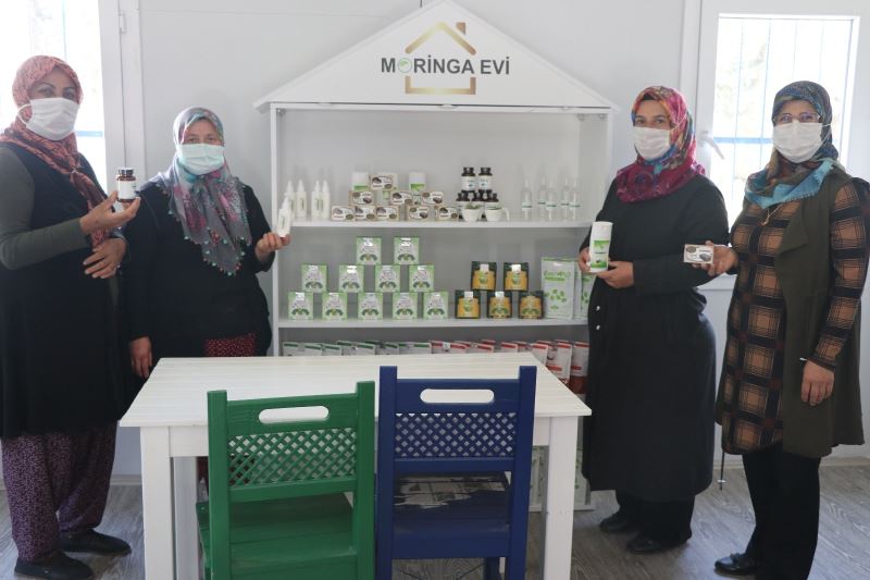 Moringa bitkisi sayesinde iş kadını oldular
