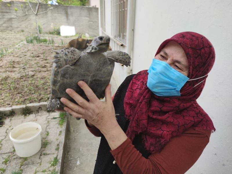 Kibrit kutusunda getirdi, 3 yıl terlik içerisinde büyüttü, şimdi evladı gibi seviyor
