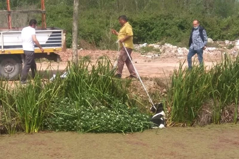 Kanala düşen çaresiz hayvanın imdadına vatandaşlar yetişti
